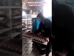 왕복식 종이 난좌 성형기, 난좌 생산 라인