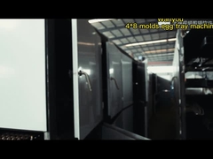 380V/220V/사용자 정의 계란 트레이 왕복 및 회전 성형 기계 제작기 1년 보증