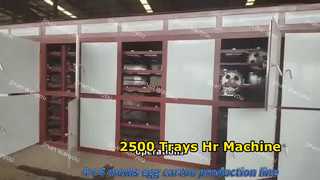 2500pcs/hr 계란 트레이 기계 낮은 투자 시작