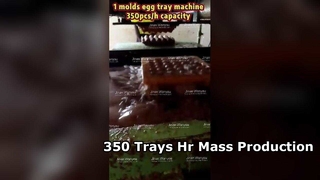 계란 트레이 기계 3000pcs hr 대량 생산