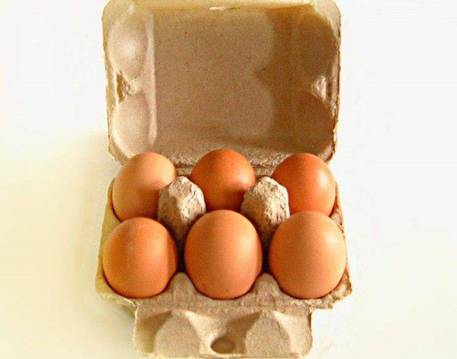 6개의 구멍이라고 주문을 받아서 만들어진 대중은 판지 계란 쟁반 생산 라인 계란 상자 기계를 egg