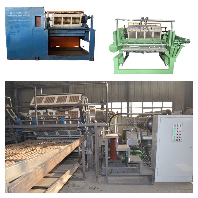 Fast Fully Automatic 4000pcs/h Egg Tray Making Machine Paper Egg Tray Production Line for Small Businesses Robust Eco-Friendly Idea for Paper Manufacturing