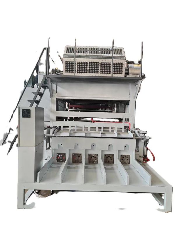 WANYOU 전문 완전 자동 펄프 성형 계란 트레이 기계 PLC 제어 열간 압착 380V 25-50KW 5000개/시간