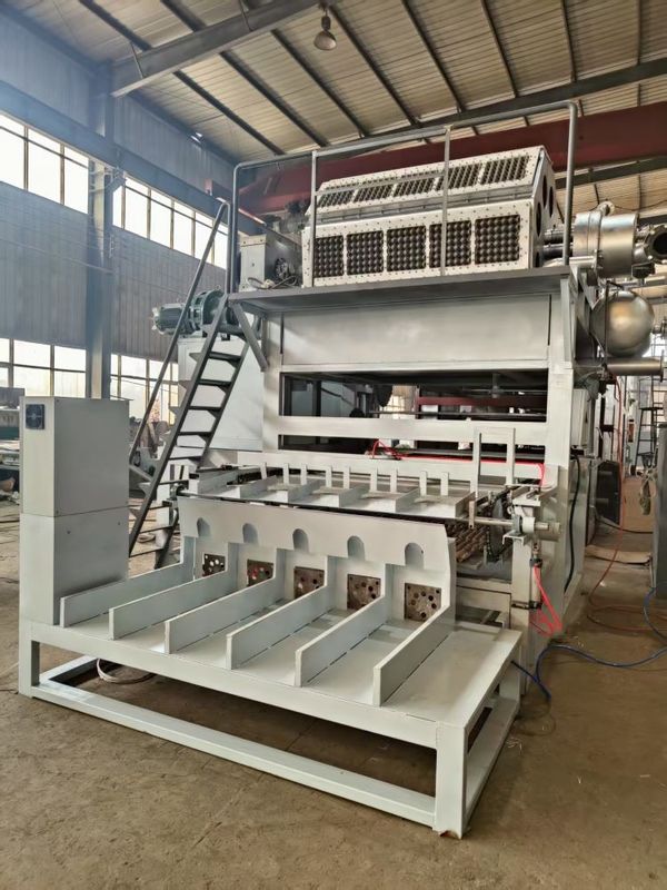 달걀 포장 산업에서 안정적인 성능과 일관된 출력을 위해 설계 된 완전 자동 달걀 트레이 형성 기계