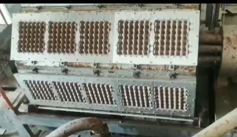 PLC 제어 자동 계란 트레이 만드는 기계 5000-6000pcs / 시간 재활용 종이 펄프 폼 제작 라인