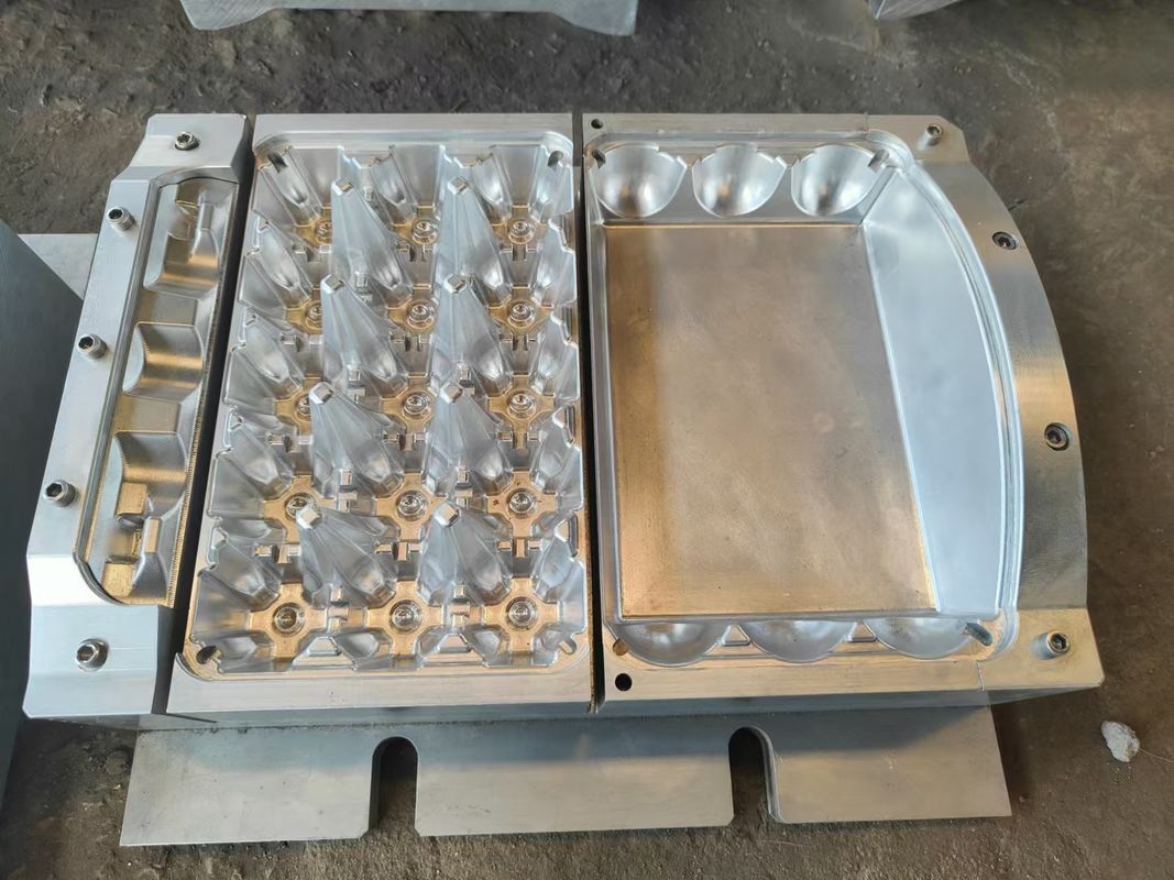 주조된 펄프 제품을 위한 서류상 계란 쟁반 기계 20 구멍 펄프 형