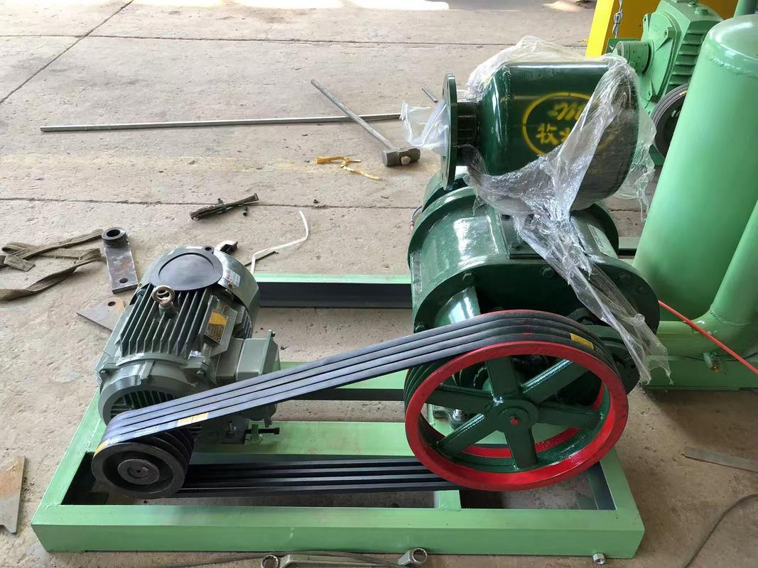  3×4 Rotary Egg Tray Machine | 2000PCS/H Stable Output, Tailored for Startup Business