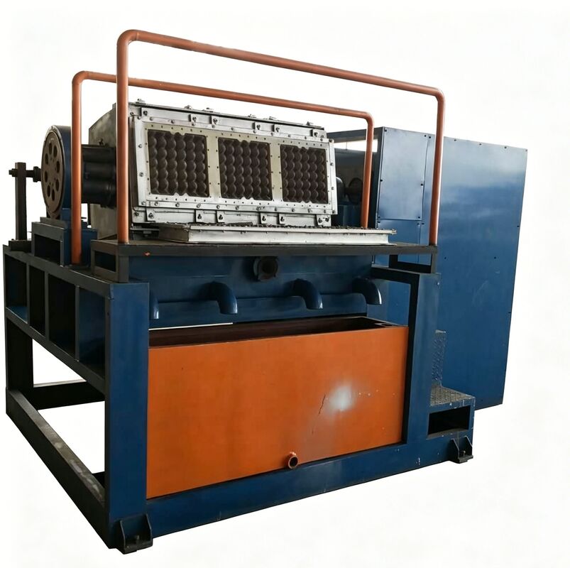 WANYOU WY-6 Rotary Egg Tray/Carton Production Line Egg Tray Machine 2000-3000 pcs/h Recycled Paper Pulp Molding for Albanian Poultry Farm