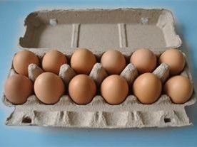 난좌 건조 시스템과 PLC 제어 회전형 알 통 제조 계란 카톤 기계