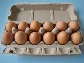 폐기물 종이 펄스 계란 트레이 기계 계란 카튼 생산 라인 제조 기계 계란 포장을 위해 350pcs/h-3000pcs/h