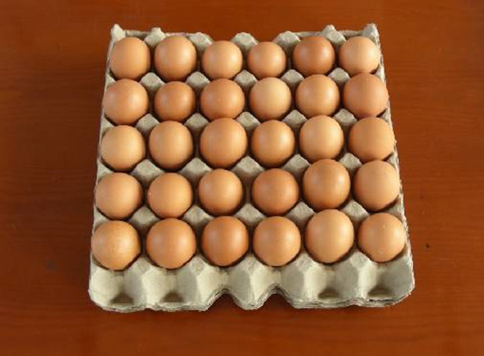 700 PC / Ｈ 생산량 안정 운전과 난자 수납 트레이 생산 라인을 성형하는 펄프지를 만드는 자동 난좌