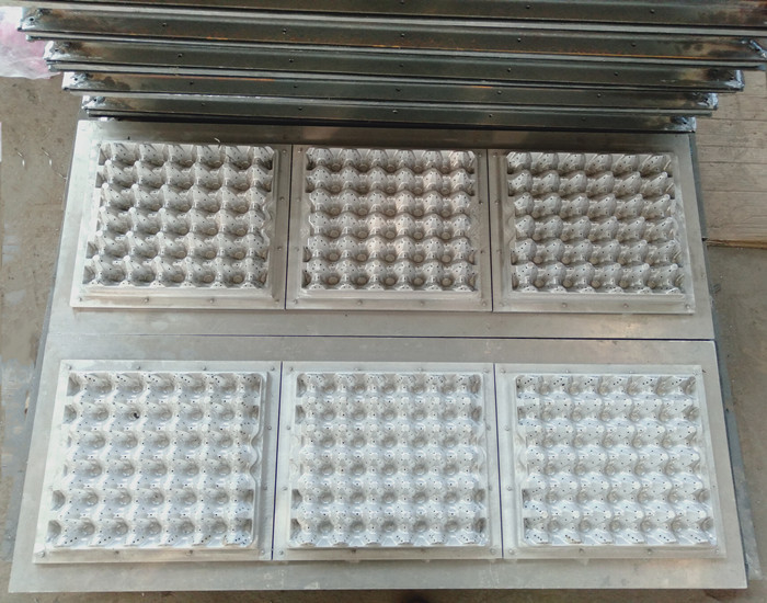 Eco 350 친절한 과일 쟁반/계란 쟁반 생산 라인 -3000pcs/h 수용량