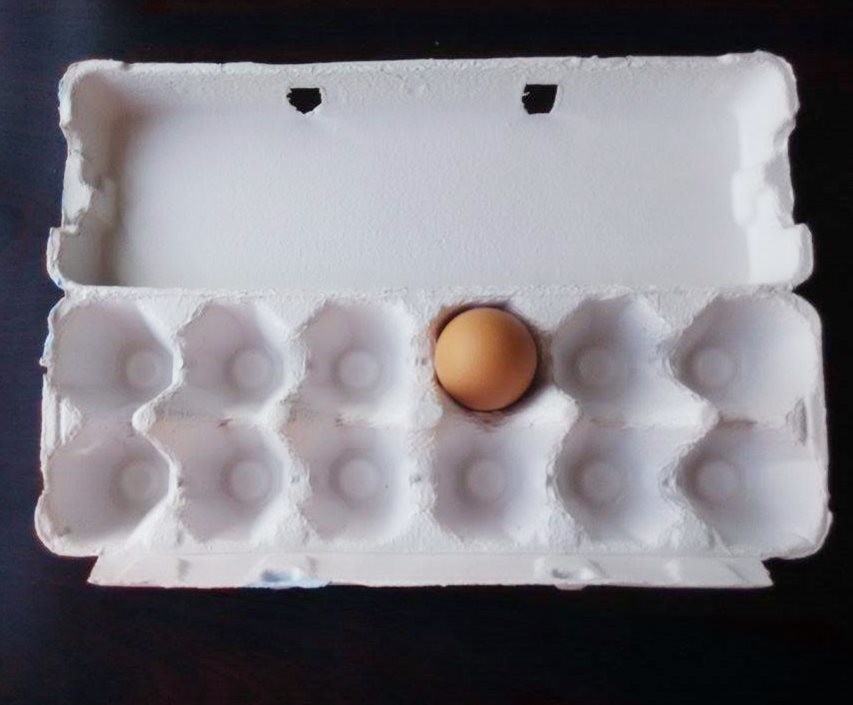 주문을 받아서 만들어진 색깔 폐지 계란 쟁반 기계 350 Pcs/h 스테인리스 물자
