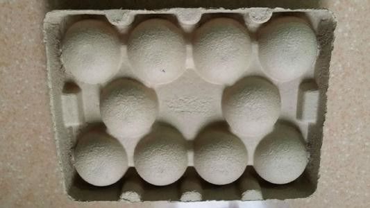 폐기물 종이 오래된 상자 재활용 종이 계란 트레이 기계 생산 라인 펄스 폼핑 과일 트레이 폼핑 계란 트레이 제조 기계 가격