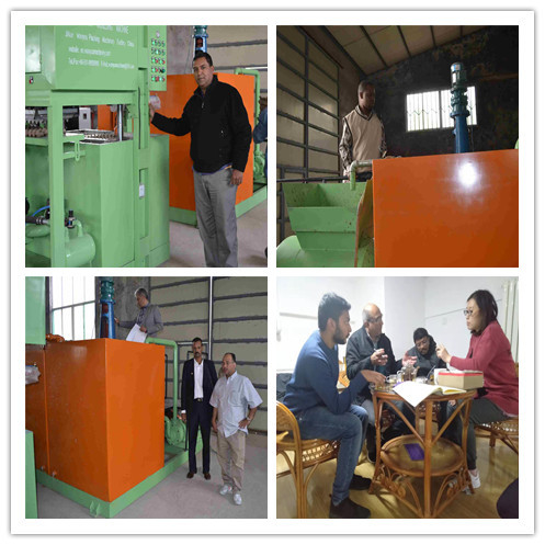 PLC 제어 1300pcs 계란 트레이 생산 라인 계란 트레이 기계 380V 50hz