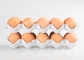 PLC 통제 쉬운 가동을 가진 주문 색깔 반 자동적인 계란 쟁반 기계