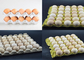 원료로 폐지를 가진 매우 능률적인 회전하는 계란 쟁반 생산 라인
