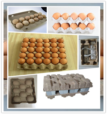 폐지를 재생해서 쟁반 기계/계란 종이 트레이 기계의 보답을 Egg